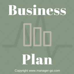 Business plan for manager