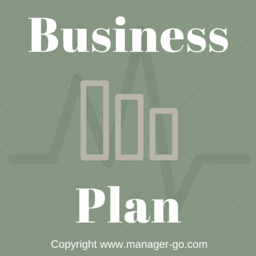 Rolito go business plan
