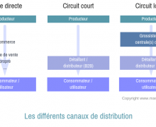 types de canaux de distribution