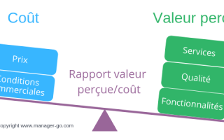 rapport valeur percue cout