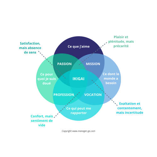 ikigai schema