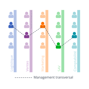 management transversal
