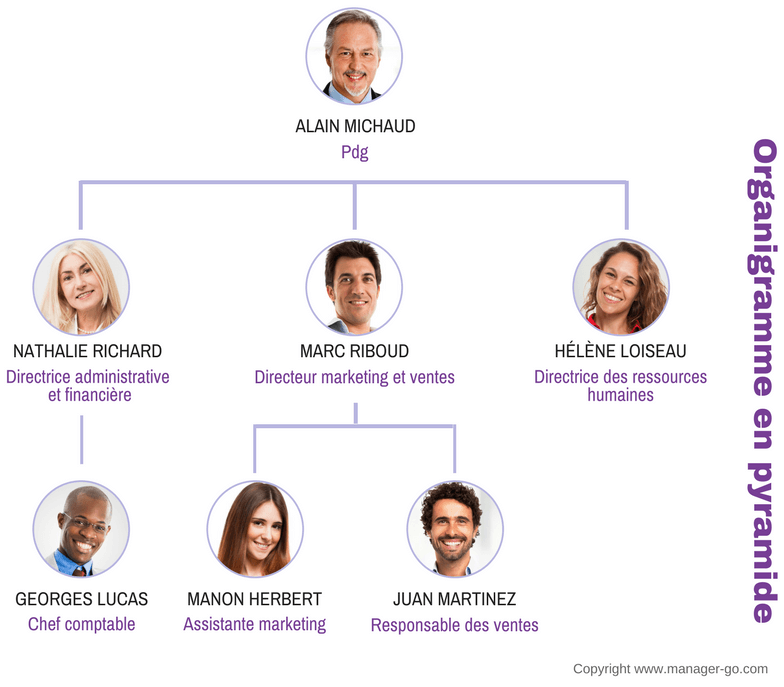 Schema hierarchique d une entreprise